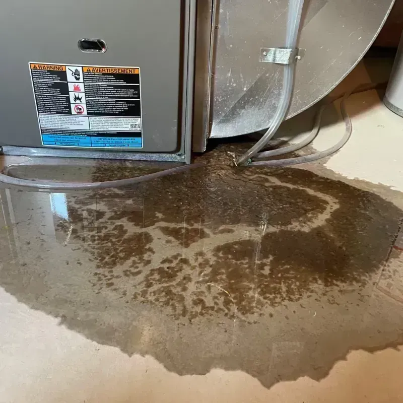 Appliance Leak Cleanup in Northbrook, IL